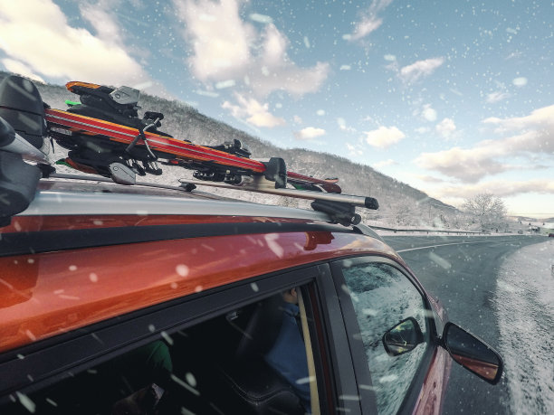 从大冒险中回家图片下载