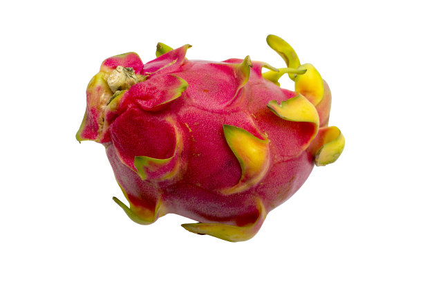 新鲜火龙果或火龙果白色背景。孤立的对象图片下载