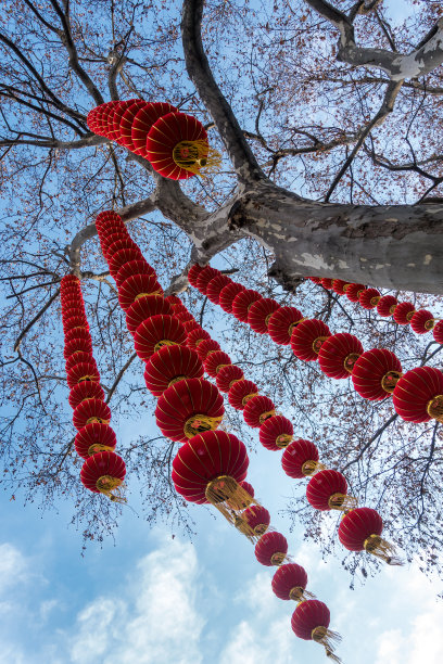 春节花灯图片素材ID：313701876