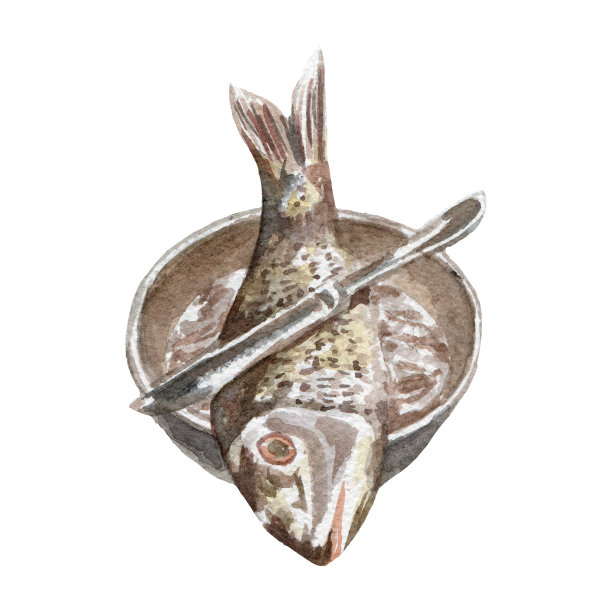 新鲜完整鱼类，白色背景素材图片