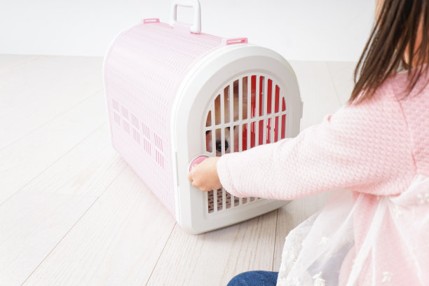 孩子照顾宠物图片下载