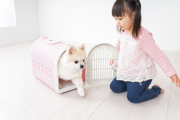 孩子照顾宠物图片下载