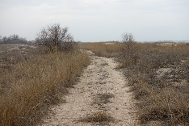 海岸。图片下载