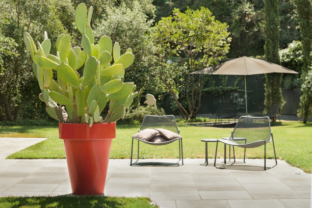 绿意盎然，阳光明媚的户外休息场所。图片下载