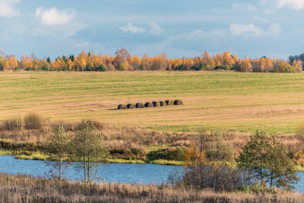 以秋天的田园风光为背景。俄罗斯图片下载
