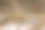 青铜叶子特写镜头。秋叶纹理微距照片。黄叶脉图案。图片下载