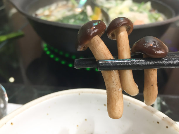 蘑菇对健康的人有好处图片下载