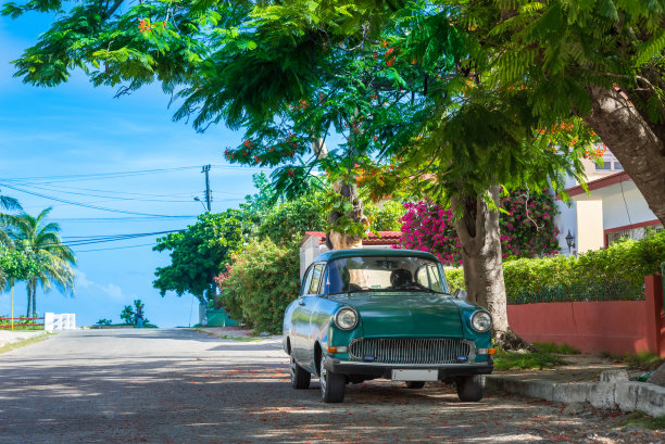HDR -美国绿色老爷车在前视图下停在棕榈树附近的海滩在古巴巴拉德罗图片下载