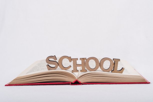 打开白色背景的书。字校木抽象字母图片下载