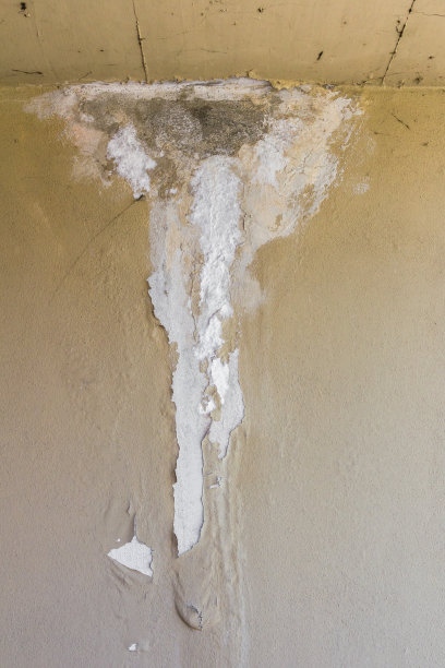 潮湿的墙图片下载