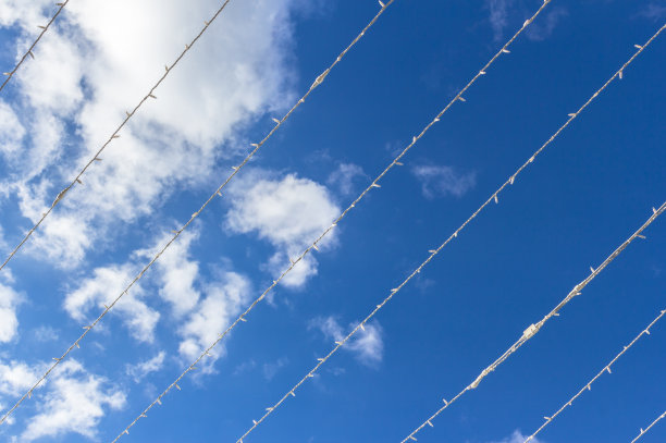 阐释了图片下载