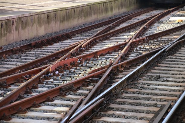 在多德雷赫特中央车站沿着站台转轨图片下载
