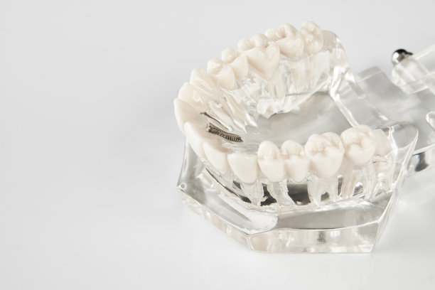 口腔保健、教育理念图片下载