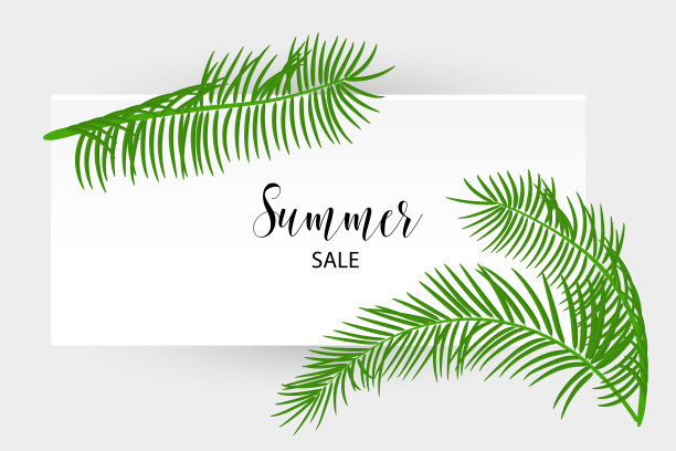 植物矢量图素材ID：313775754