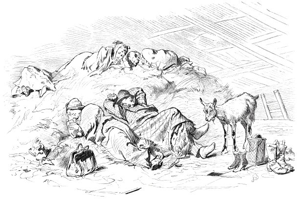 在干草中喝了一夜后的日出图片下载