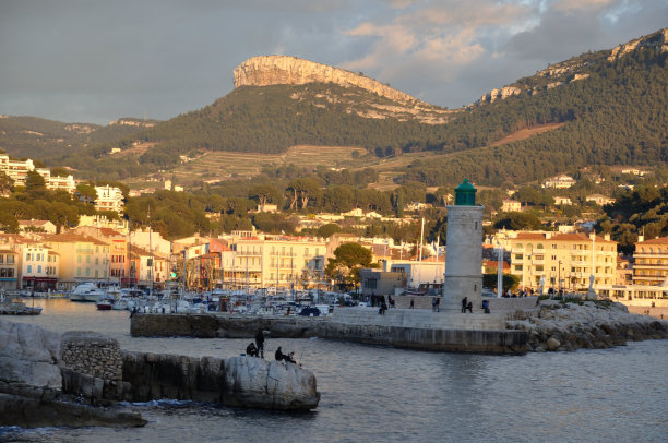 黑 醋栗图片下载