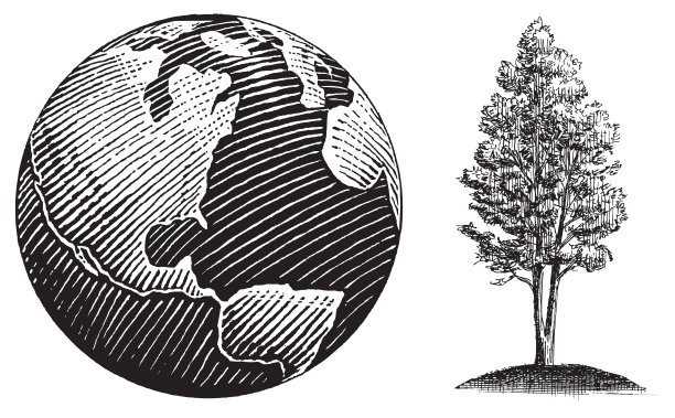 地球和树，自然的象征图片下载