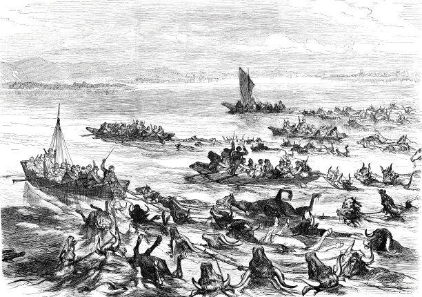 多瑙河罗马尼亚奥斯曼士兵突袭归来图片下载