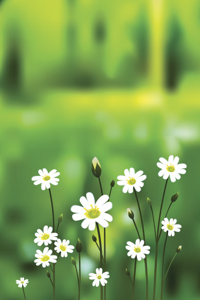 盛开的森林图片下载