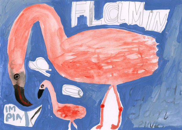 火烈鸟图片下载