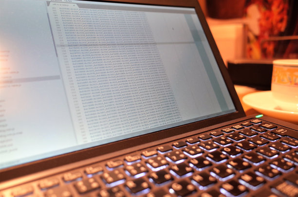 在咖啡馆里用笔记本电脑编程，Nomad风格图片下载