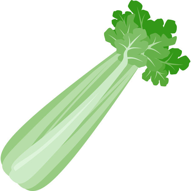 素食Cartoon-Celery图片下载