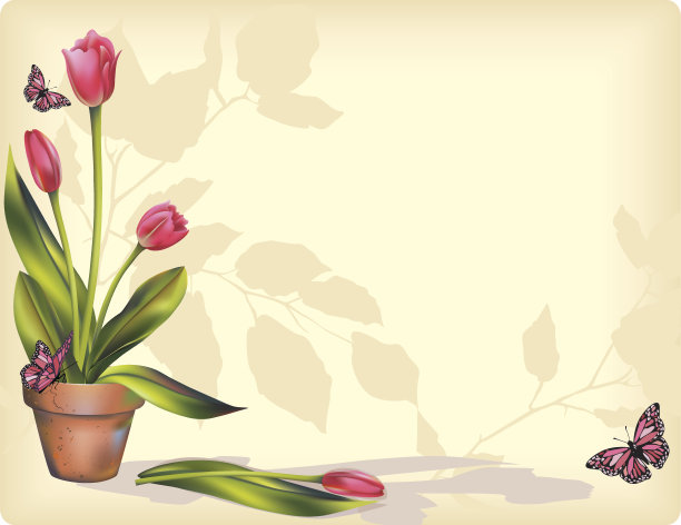 粉色郁金香插图图片下载