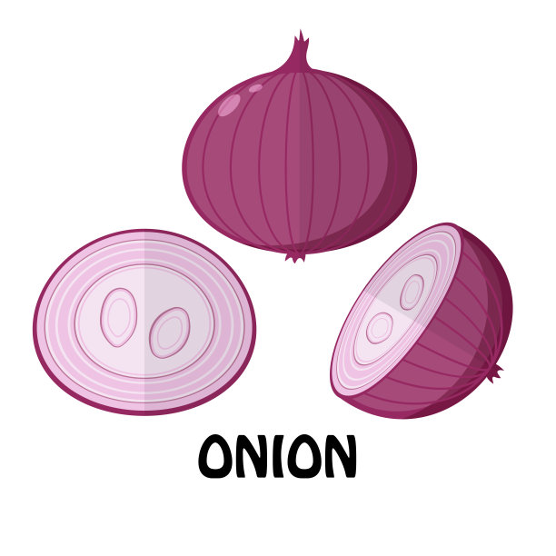 矢量插图扁平洋葱孤立在白色背景，原料新鲜蔬菜图片下载
