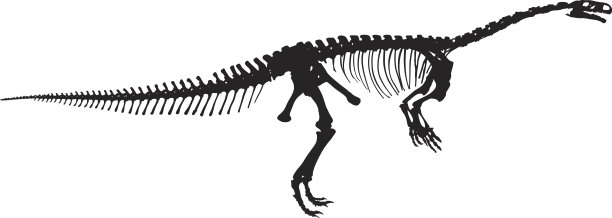 恐龙的剪影。图片下载