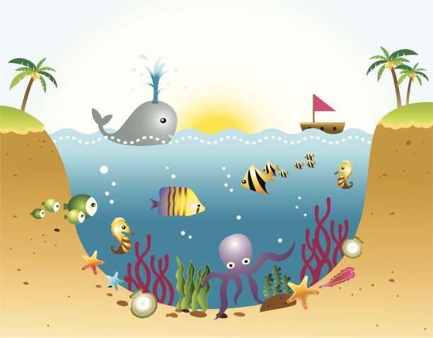 海洋与海洋生物图片下载