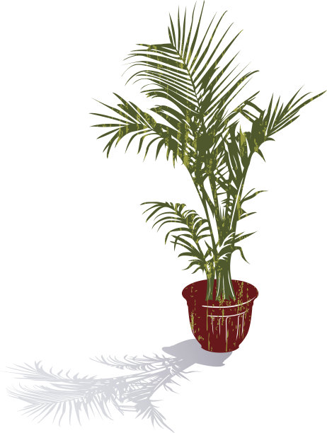 垃圾纹理盆栽室内植物在棕色花盆与阴影图片下载