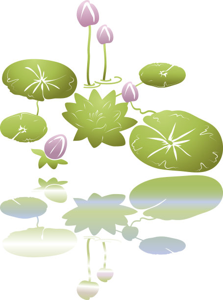 W /特莉莉图片下载