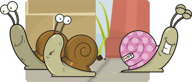 从他的壳里出来图片下载