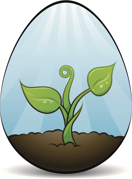 不断增长的生活蛋图片下载