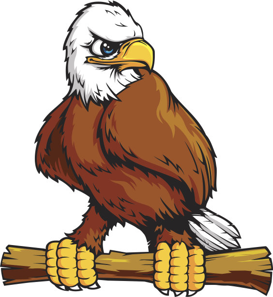 栖息鹰图片下载