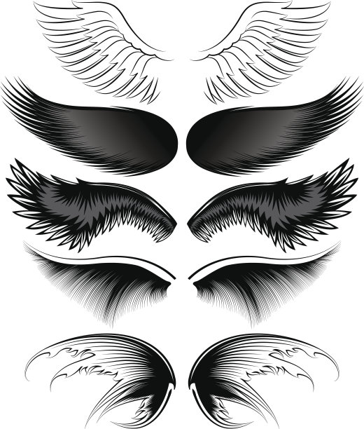 机翼的设计图片下载