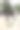 美丽的骑手站在竞技场附近的棕色的房子图片下载