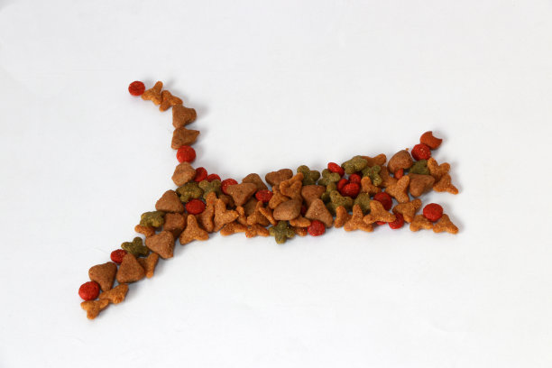 一堆猫食在白色的地板上跳成猫的形状。图片下载