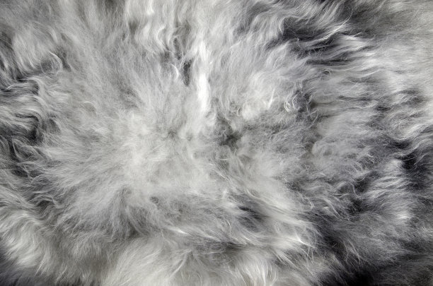 抽象的皮毛背景图片下载