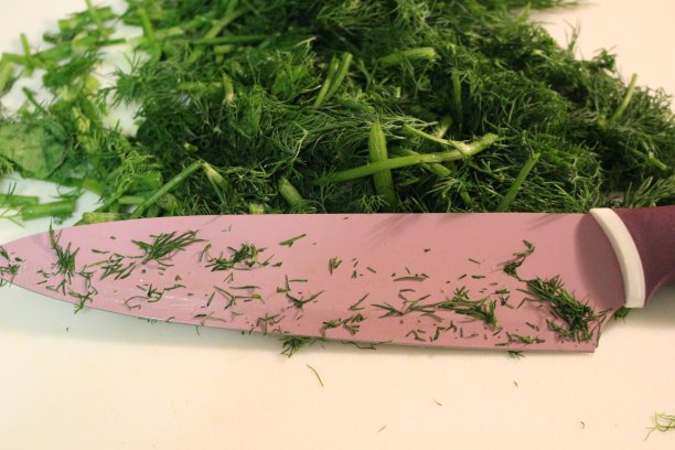 新鲜切割的莳萝孤立在花岗岩背景图片下载