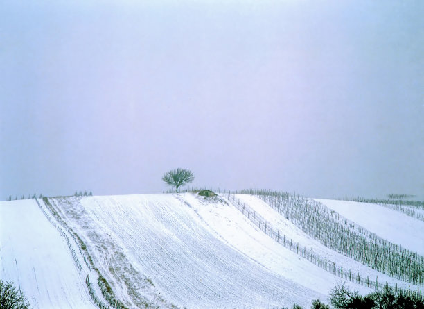字段在冬天图片下载