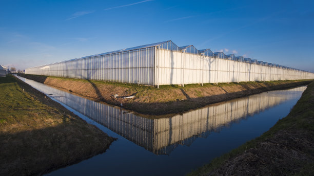 花卉温室图片下载
