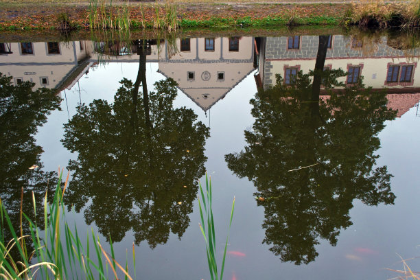 农舍间的树木倒映在池塘的水面上图片下载