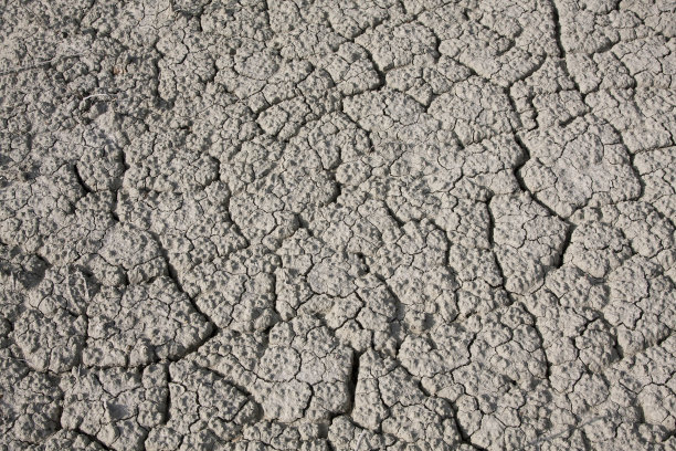 干旱、贫瘠的土壤图片下载