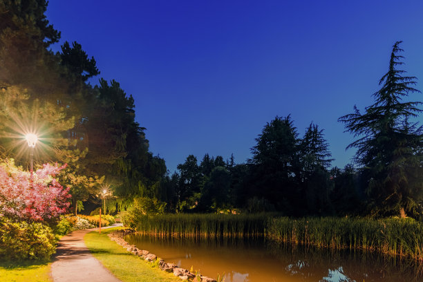 小径在一个夜晚公园附近的一个池塘，芦苇的倒影，树木的剪影图片下载