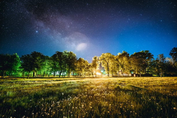 夜晚星空下的绿树树林。夜晚景观与自然真正发光的银河星星在夏季在草地上。从东欧观看春天的季节图片下载