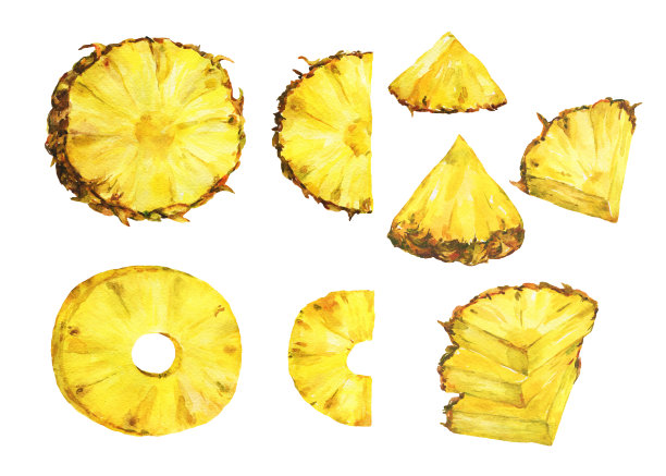 一组切片成熟的菠萝。水彩手绘插图孤立的白色背景。用于请柬、贺卡、纺织品设计、包装。图片下载