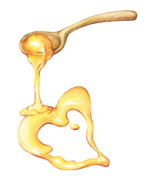 天然花卉新鲜蜂蜜心形，滴蜜木勺。心形的蜂蜜。水彩手绘插图孤立的白色背景。素材图片