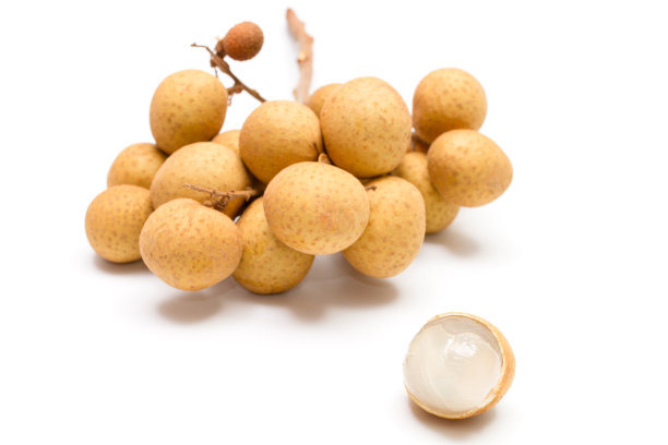 龙眼的图片下载