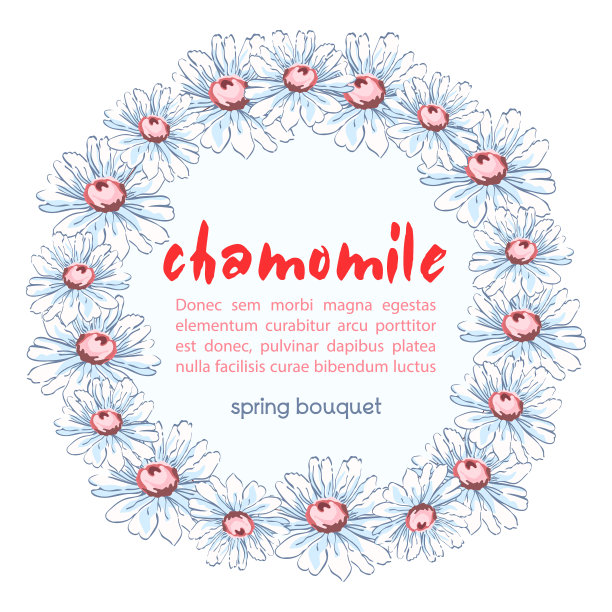 洋甘菊花圈，矢量花背景，圆形花框，边框。绘制花蕾白色洋甘菊花手绘与标签文字，孤立在白色背景图片下载